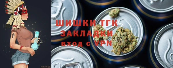 тгк Нея