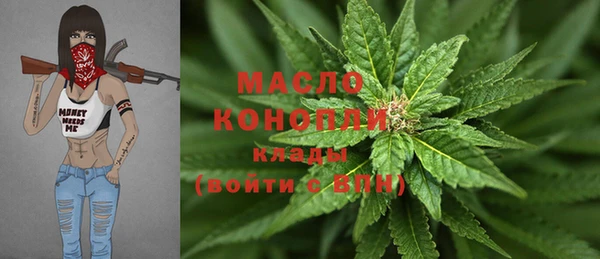тгк Нея