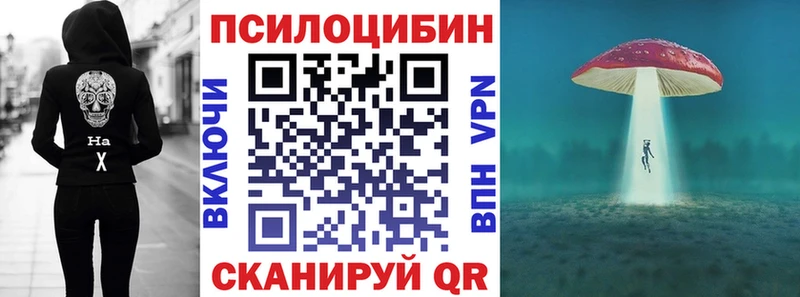 Галлюциногенные грибы Psilocybine cubensis  Сальск 