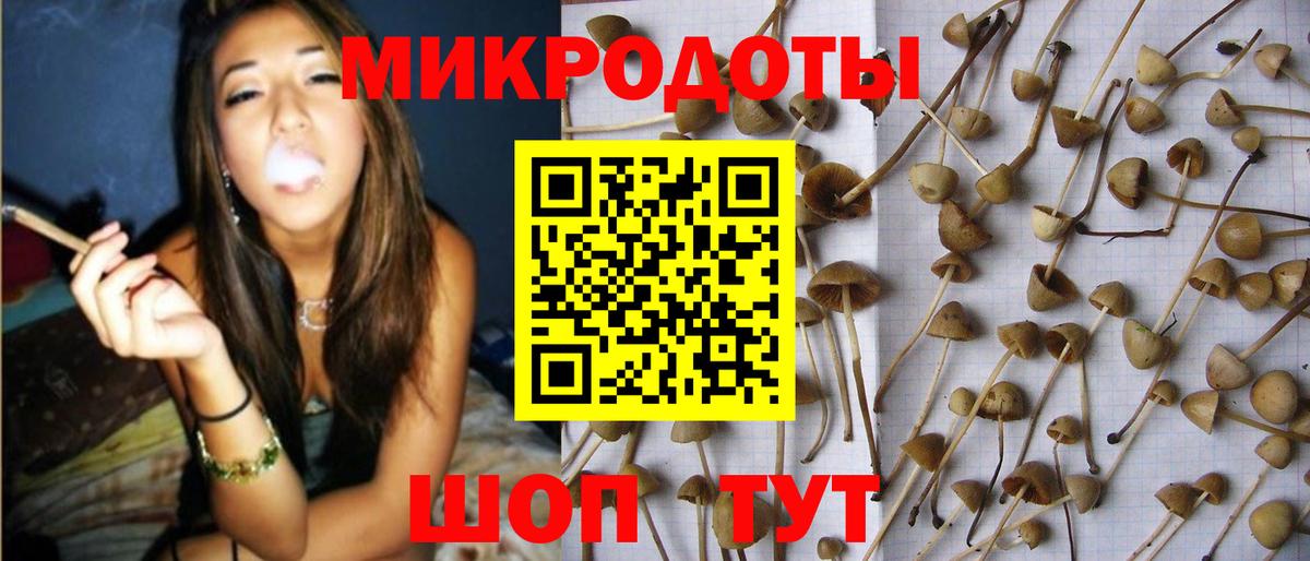 продажа наркотиков  Псилоцибиновые грибы Psilocybine cubensis  Галлюциногенные грибы прущие грибы  Вход с VPN  Сальск 