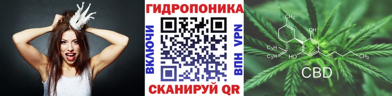 Шишки марихуана VHQ  Сальск 